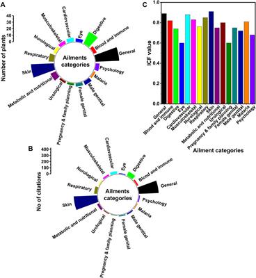 Ethnobotanical study of endemic and non-endemic medicinal plants used by indigenous people in environs of Gullele botanical garden Addis Ababa, central Ethiopia: A major focus on Asteraceae family